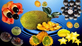 أغرب أنواع الفواكه فى العالم / The strangest types of fruits in the world