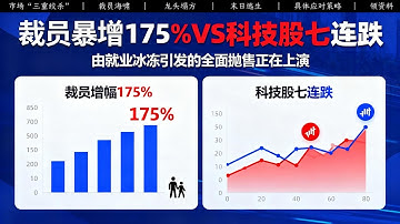 【裁员风暴】【科技股塌方】一个视频带你解析背后的事情，以及我们如何逃脱！