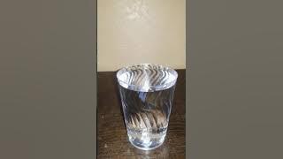 soundcore motion boom vs w king d9 bass test