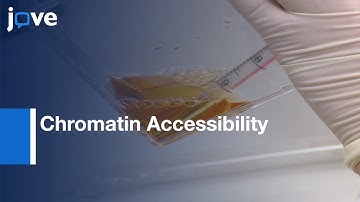 Chromatin Accessibility Measurement by Regulatory Elements | Protocol Preview