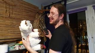 How to properly interview an owl?