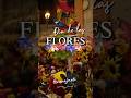 El día más colorido del año en Guanajuato