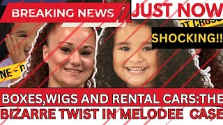 BOXES, WIGS AND RENTAL CARS: THE BIZARRE TWIST IN MELODEE BUZZARD CASE