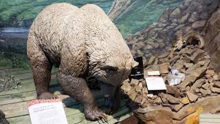 20150709: Day 32, Denali Murie Science & Learning Center, Park Depot, Post Office