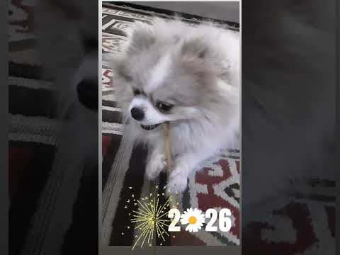 تشویقی خوردنش و ببین      