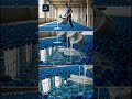 Blue Roses Bedroom Floor 💙🌹  Unreal Epoxy Transformation #epoxyfloor #flowers #qualityflooring