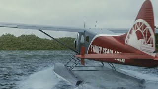 2017 Sydney Seaplanes DHC-2 Crash - Animation