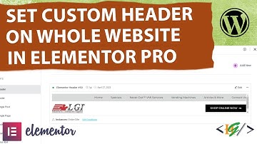 How to Display Custom Header on Entire Website in Elementor Pro WordPress