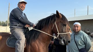 Эл Кабар Жалал-Абад жылкы базары арзан экен коруп билип алыңыздар.