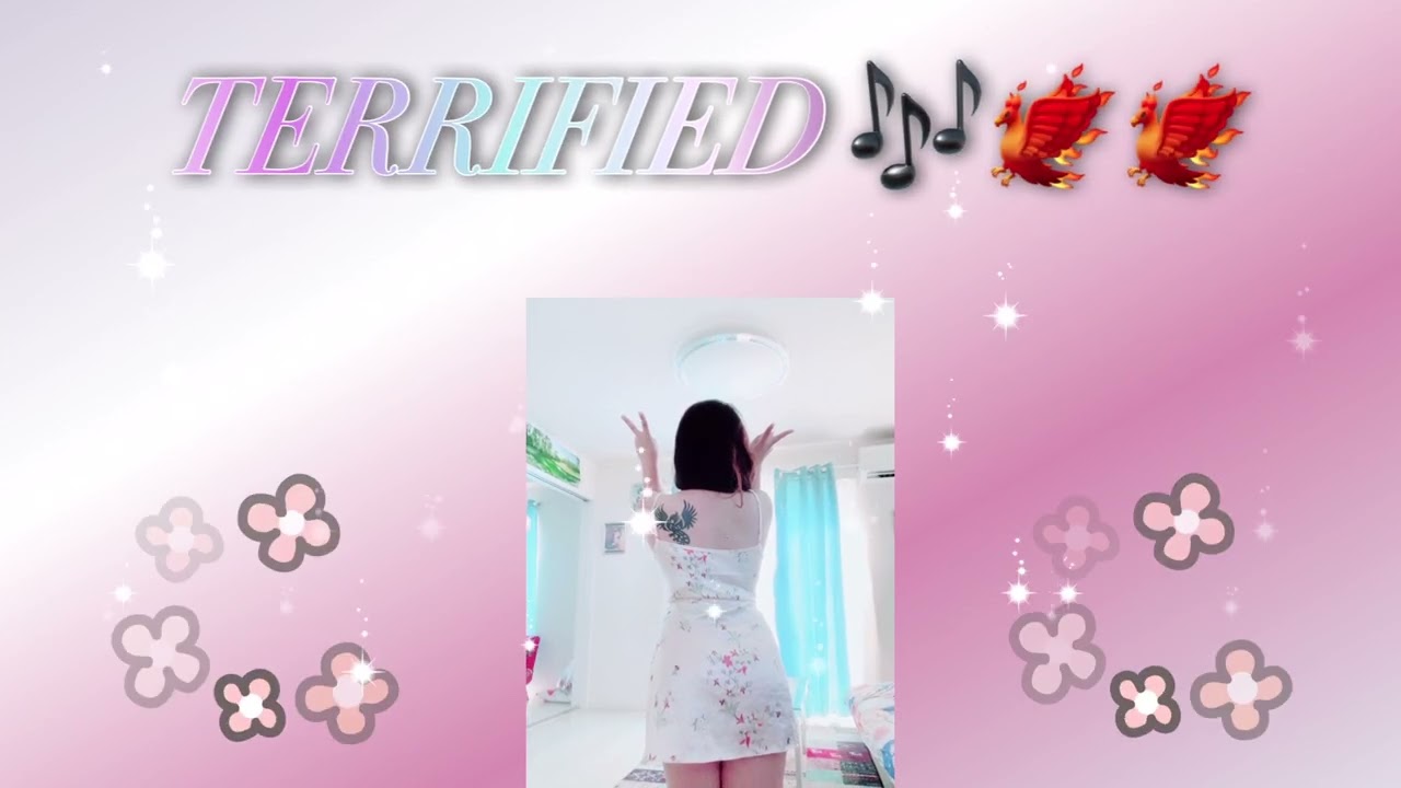 TERRIFIED 🎶🎶🐦‍🔥🐦‍🔥🐦‍🔥#song #remix #music #trending 
