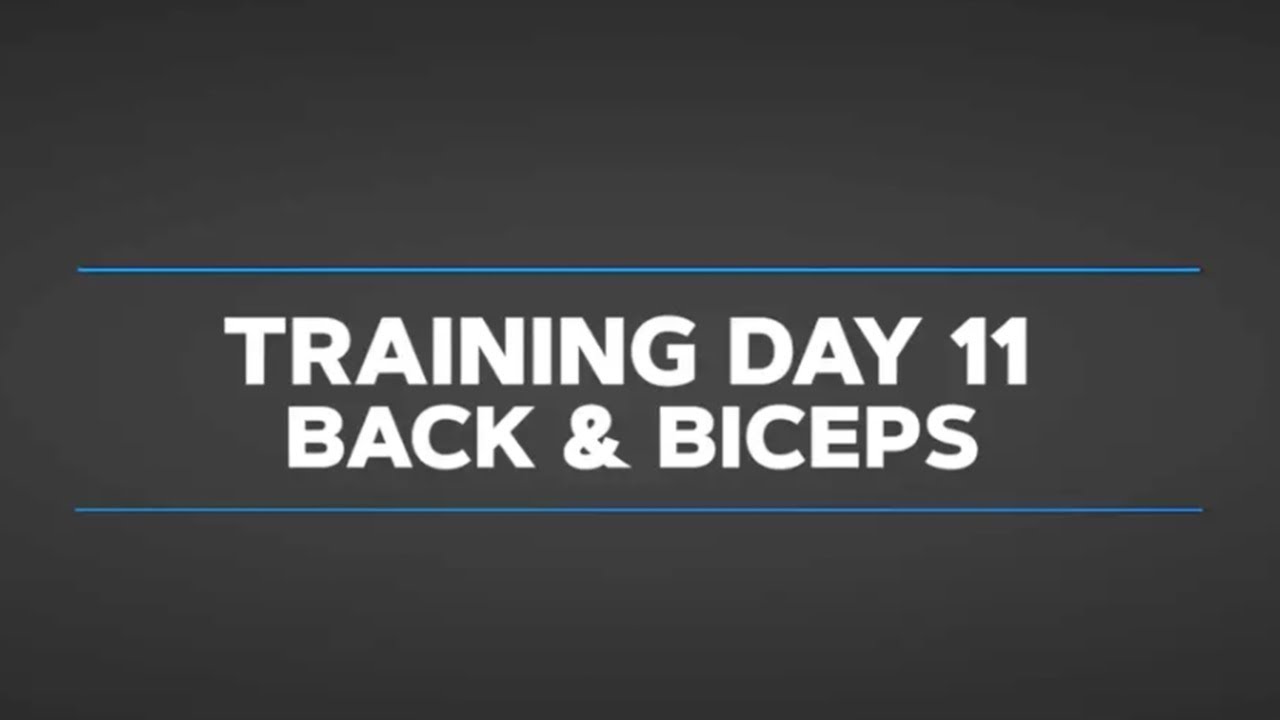 Gethin's Beginner Daily Video Trainer: Day 11 Back and Biceps - YouTube