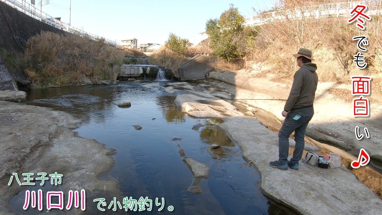 冬でも面白いほど釣れます！ 八王子市 川口川で小物釣り。