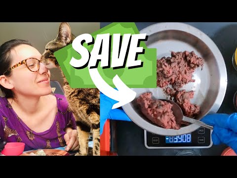 Use these cat food coupons to save $$