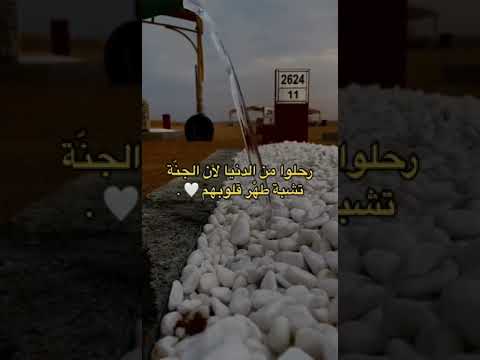 رحلوا عن الدنيا لأن الجنة تشبة طهرَ قلوبهم🤍  #فقيدي