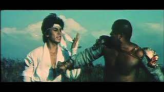 Shaolin Chastity Kung Fu (1981) - Fight Scene