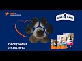клуб 4 лапи реклама корм для тварин