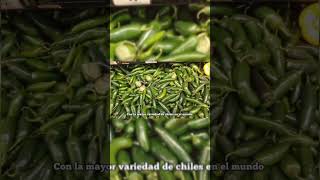 Más de 60 tipos de chiles en México