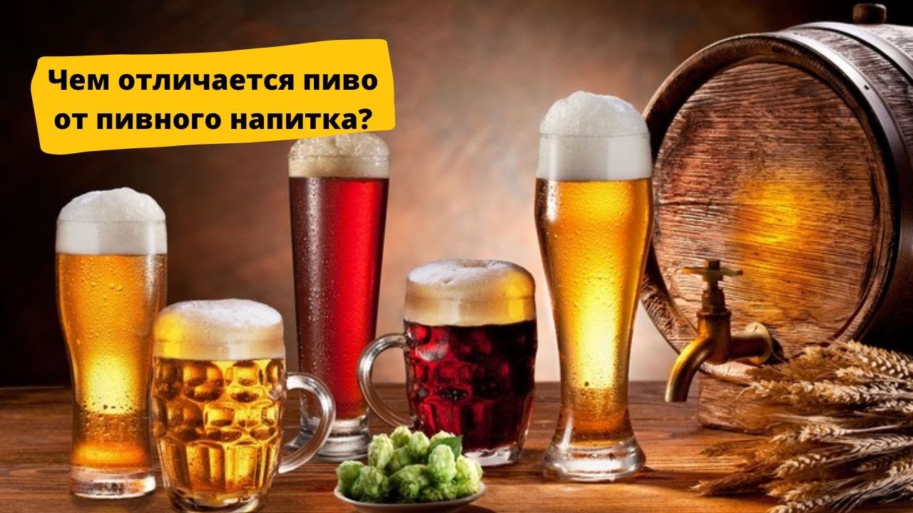 Чем отличается пиво от пивного напитка?