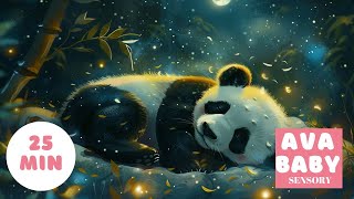 🌙🐼 Soothing Lullabies with Sleeping Pandas | Baby Sensory Sleep Video 💤🎶