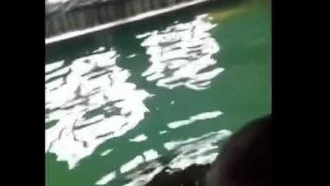 Fat Guy starts crying after going underwater