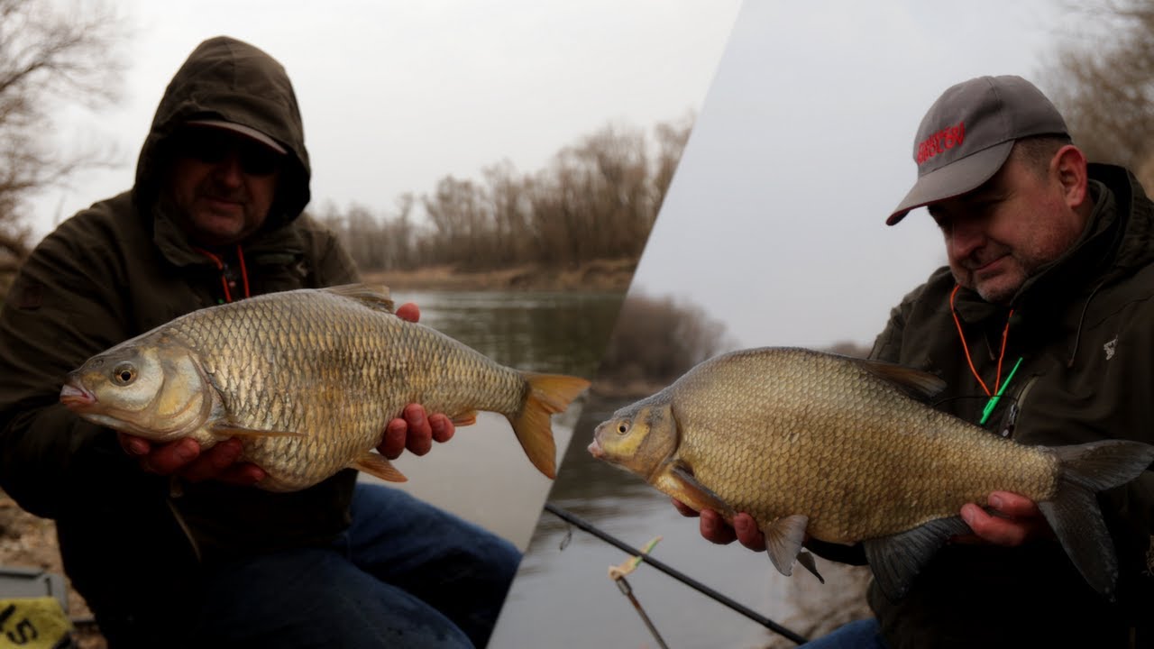 Feederom na kapitalne deverike i plotice, učinkoviti kombinirani predvez