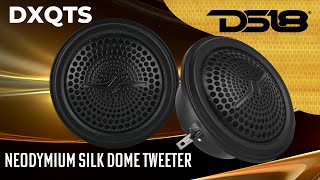 DS18 DXQTS | High Fidelity Silk Dome Tweeter! screenshot 5