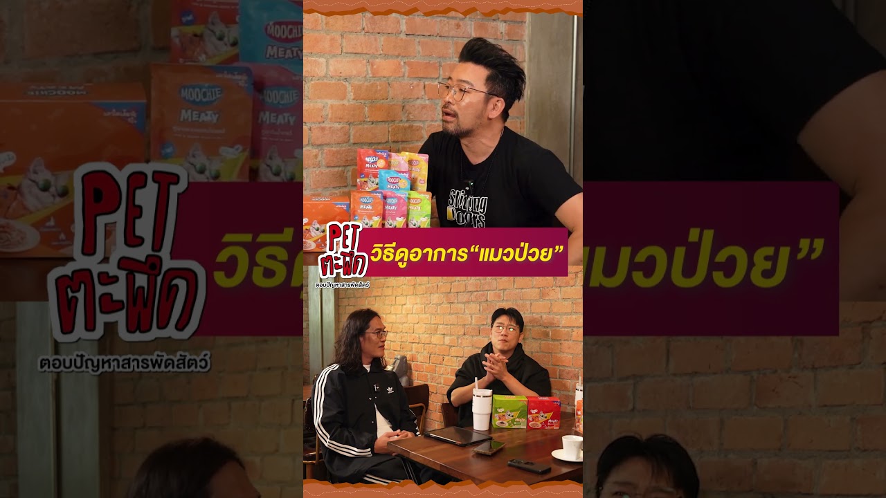 เช็กอาการแมวป่วยกัน..ว่ามีพฤติกรรมแบบไหนบ้าง??!