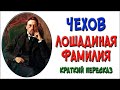 Лошадиная фамилия. Краткое содержание. (Чехов)