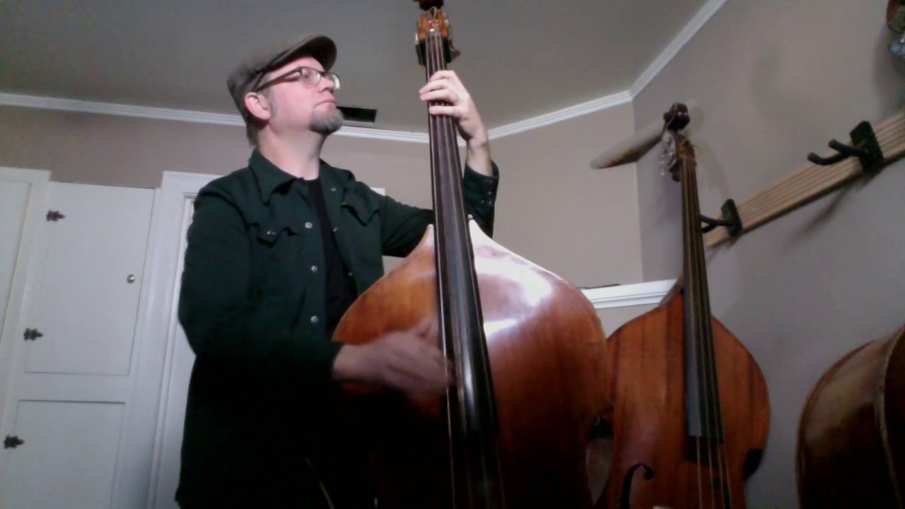 Double Bass - Gut-a-like Swingmaster strings | TalkBass.com