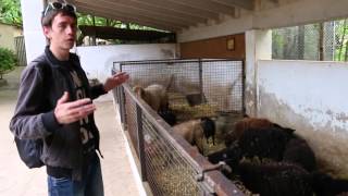 Mallorca. Park Natura zoo