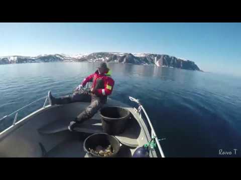 Video: Norra Avastamine Maailma Ilusaima Reisi Kaudu