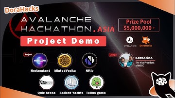 Project Demo XIII| Avalanche Asia Hackathon #blockchain #crypto #Avalanche #NFT #DeFi #GameFi