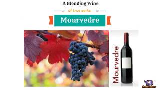 Mourvedre Wines - A Blending Wine Of True Sorts