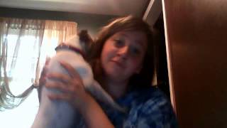 koda the dog took over