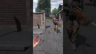 Average Spawn Town On Livonia