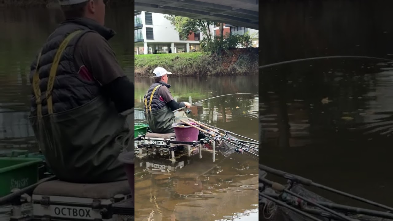 River dace on the Stick Float! 🎣🤤 