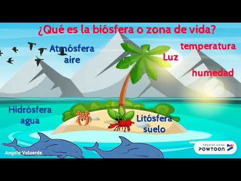 Vídeo: Diferencia Entre Bioma Y Biosfera