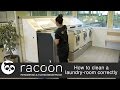 Racoon - How to clean a laundry-room correctly