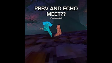 PBBV ECHO Pbbv Echo Gtag Gorillatag Gtagghost Vr Virtualreality Quokka1k Metaquest2 Tag 