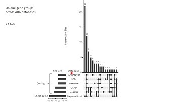 Resistome characterization of the honey bee... - Lance Lansing - MICROBIOME - Abstract - ISMB 2022