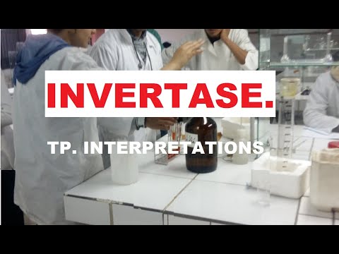 Vidéo: Quel est l'autre nom de l'invertase ?