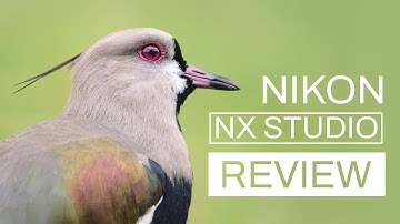 Nikon NX Studio 1.7 Quick Review