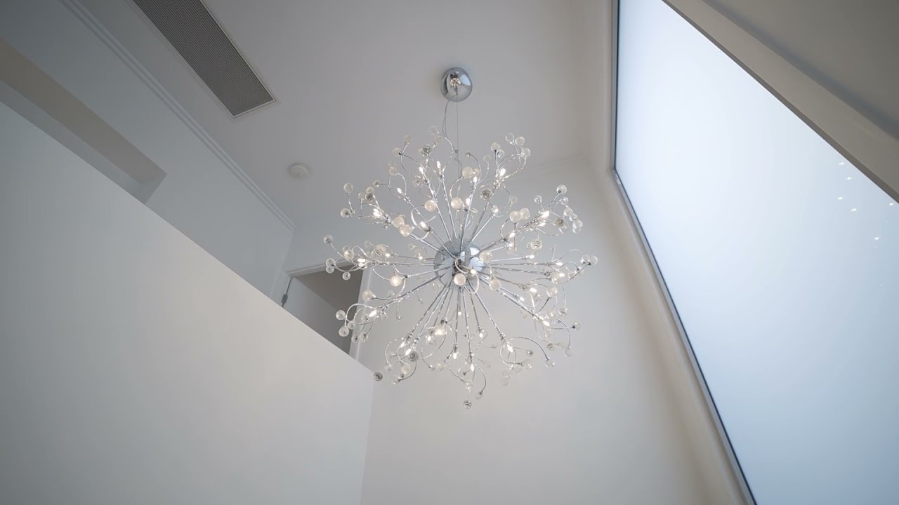 8 Cowper Street Bulimba QLD 4171 | Place Estate Agents | Brisbane Real Estate For Sale