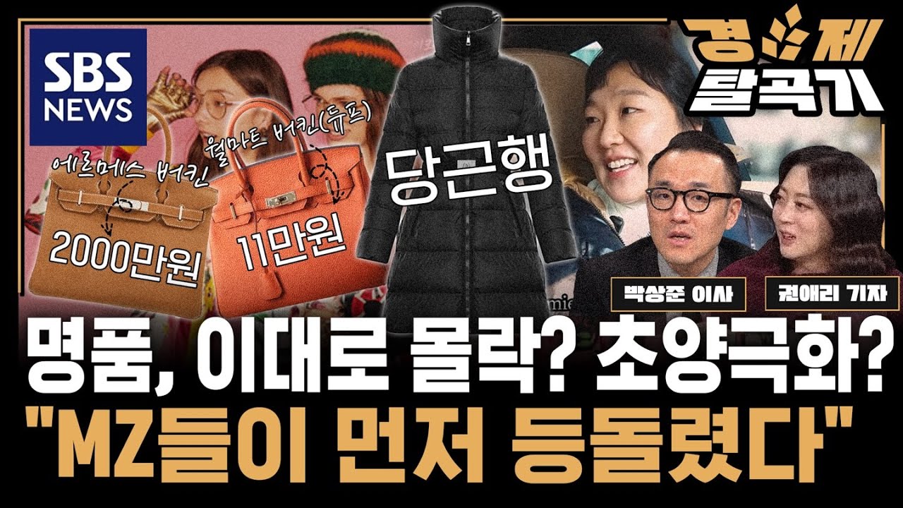 호경기엔 구찌, 불경기엔 에르메스 잘 나간다?…'로고'가 부끄러운 시대, 명품은 정말 몰락할까? ft. 박상준 이사 / SBS경제탈곡기