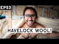 INSULATING my van with HAVELOCK SHEEP WOOL!