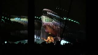 Feist - Forever Before Live at Roundhouse