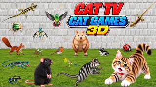 CAT TV 3D 🐭🐦🦎 Ultimate Cat Games – Mice, Birds, Lizards, Rats & More | Videos for Cats 4K 60FPS screenshot 3