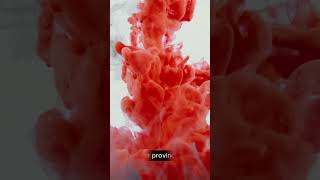 Madame Bovary Summary Flauberts Scandalous Clic Explained In 30 Second