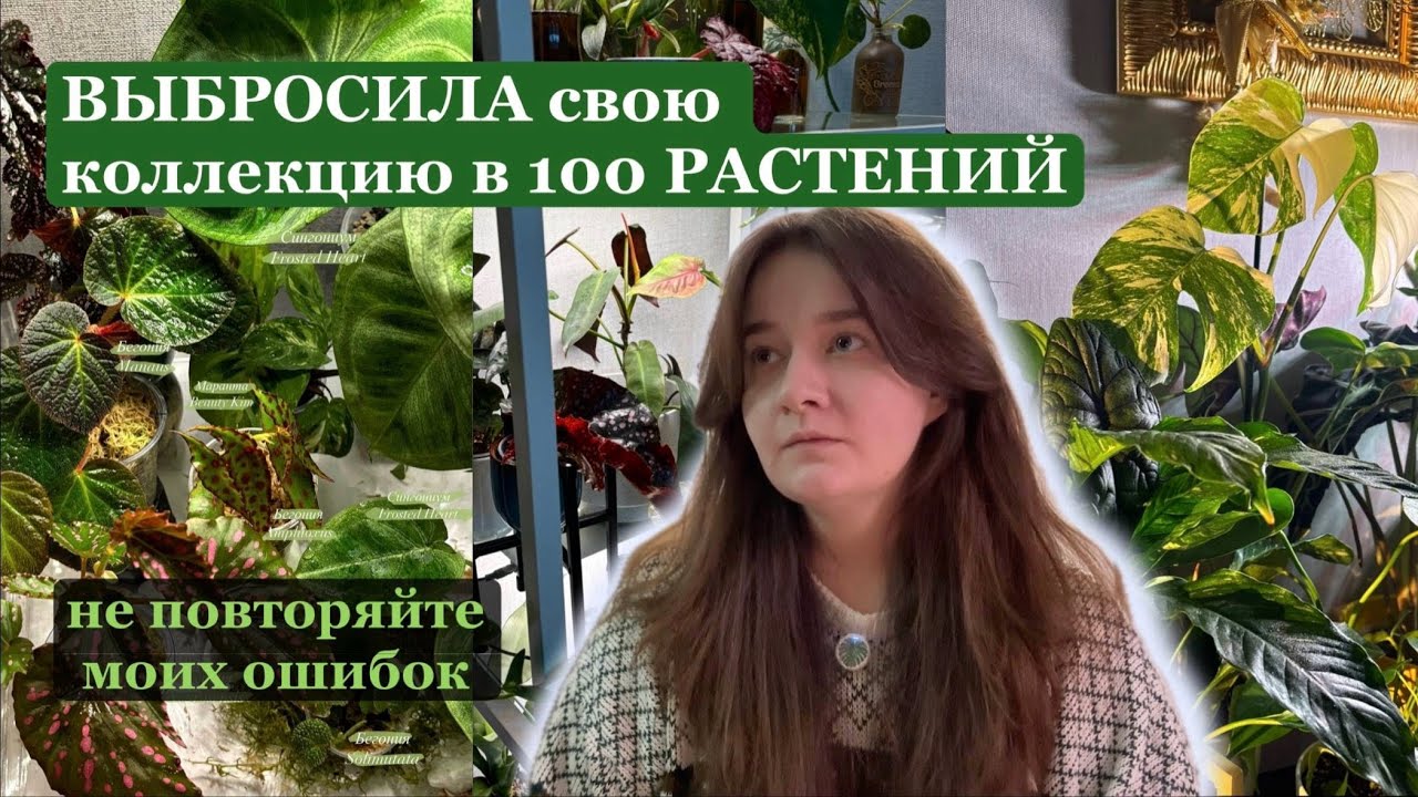 Выбросила свои растения | не повторяйте мою ошибку. Что будет дальше? 