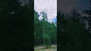 #настоящее #жизнь #vikings #слюбовью #рек #nature #beready #life #замечай
